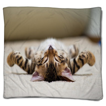 Cat Blankets 51914851