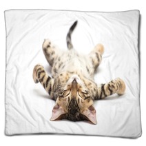 Cat Blankets 52180044