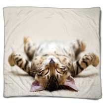 Cat Blankets 52180045