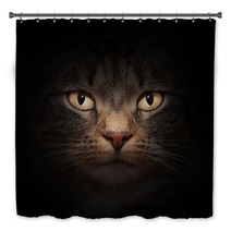 Cat Face With Mysterious Beautiful Eyes On Black Bath Decor 42033764
