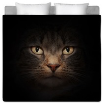 Cat Face With Mysterious Beautiful Eyes On Black Bedding 42033764