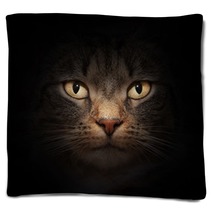 Cat Face With Mysterious Beautiful Eyes On Black Blankets 42033764