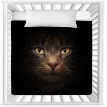 Cat Face With Mysterious Beautiful Eyes On Black Nursery Decor 42033764