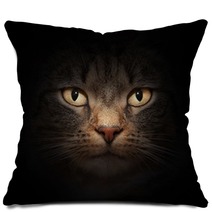 Cat Face With Mysterious Beautiful Eyes On Black Pillows 42033764
