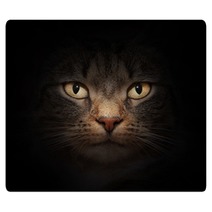 Cat Face With Mysterious Beautiful Eyes On Black Rugs 42033764