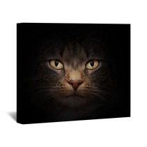 Cat Face With Mysterious Beautiful Eyes On Black Wall Art 42033764