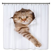 Cat In White Wallpaper Hole Bath Decor 52539512