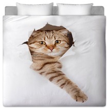Cat In White Wallpaper Hole Bedding 52539512