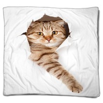 Cat In White Wallpaper Hole Blankets 52539512