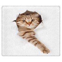 Cat In White Wallpaper Hole Rugs 52539512