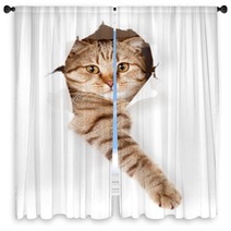 Cat In White Wallpaper Hole Window Curtains 52539512