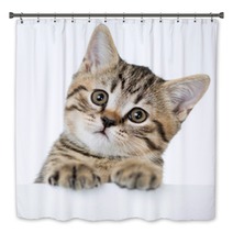 Cat Kitten Peeking Out Of A Blank Placard, Isolated On White Bac Bath Decor 61202645
