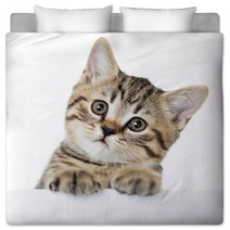 Cat Kitten Peeking Out Of A Blank Placard, Isolated On White Bac Bedding 61202645