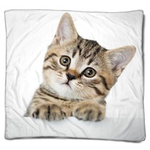 Cat Kitten Peeking Out Of A Blank Placard, Isolated On White Bac Blankets 61202645