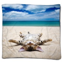 Cat On  Beach Blankets 58926367