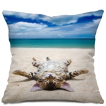 Cat On  Beach Pillows 58926367