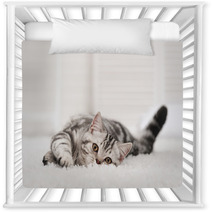 Cat On The Carpet Nursery Decor 58065335