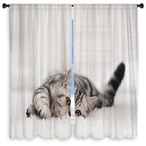Cat On The Carpet Window Curtains 58065335