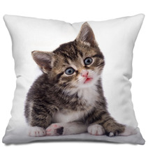 Cat Pillows 1123891