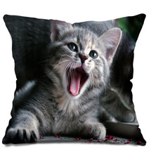 Cat Pillows 222829