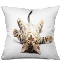 Cat Pillows 52180044