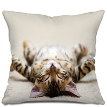 Cat Pillows 52180045