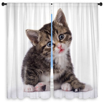 Cat Window Curtains 1123891