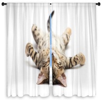 Cat Window Curtains 52180044