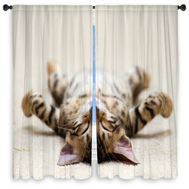 Cat Window Curtains 52180045