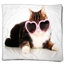 Cat With Glasses Isolated On White Blankets 52485847