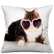 Cat With Glasses Isolated On White Pillows 52485847