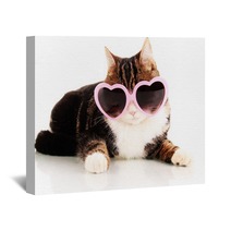 Cat With Glasses Isolated On White Wall Art 52485847