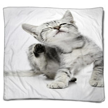 Cat02 Blankets 50209249