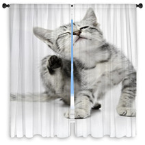 Cat02 Window Curtains 50209249