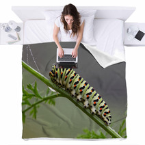 Caterpillar Blankets 58893787