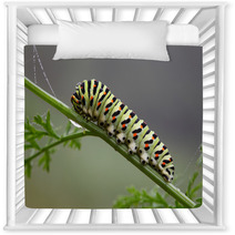 Caterpillar Nursery Decor 58893787