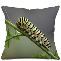 Caterpillar Pillows 58893787