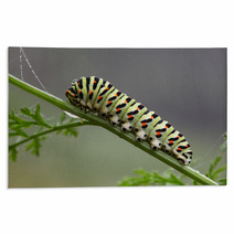 Caterpillar Rugs 58893787