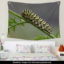 Caterpillar Wall Art 58893787