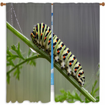 Caterpillar Window Curtains 58893787