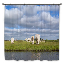Cattle On Pasture By River Bath Decor 66877353