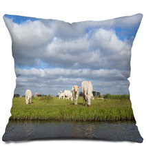 Cattle On Pasture By River Pillows 66877353