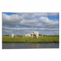 Cattle On Pasture By River Rugs 66877353
