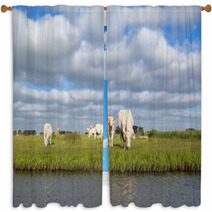 Cattle On Pasture By River Window Curtains 66877353