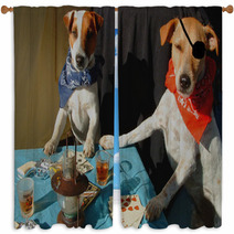 Celebrity Critter Poker - Color Version Window Curtains 337624