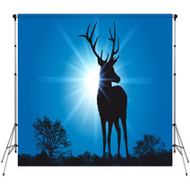 Cerf_Soleil_Rayons Backdrops 45418885