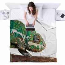 Chameleon Blankets 60715299