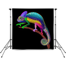 Chameleon Fantasy Rainbow Colors Backdrops 70513700