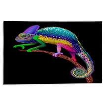 Chameleon Fantasy Rainbow Colors Rugs 70513700
