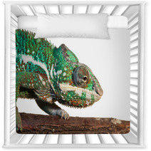 Chameleon Nursery Decor 60715299